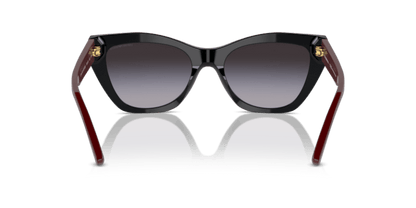 Shiny Black - 0EA4176 8056262082973