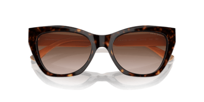 Shiny Havana - 0EA4176 8056262082980