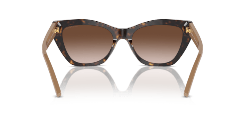 Shiny Havana - 0EA4176 8056262082980