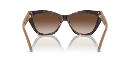 Shiny Havana - 0EA4176 8056262082980