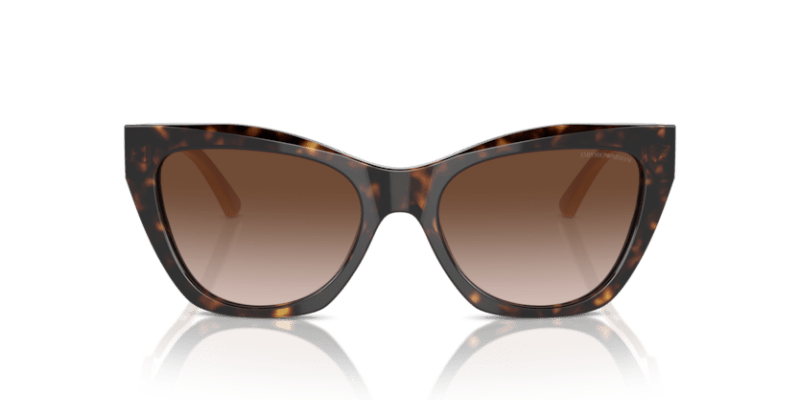 Shiny Havana - 0EA4176 8056262082980