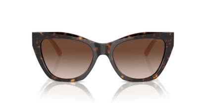 Shiny Havana - 0EA4176 8056262082980