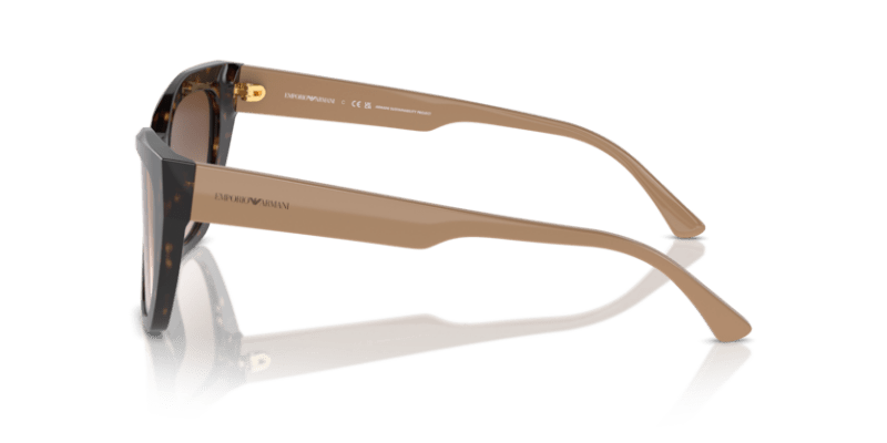 Shiny Havana - 0EA4176 8056262082980