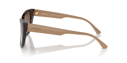 Shiny Havana - 0EA4176 8056262082980