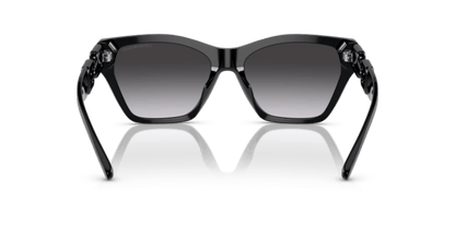 Shiny Black - 0EA4203U 8056597819619