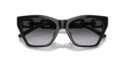 Shiny Black - 0EA4203U 8056597819619