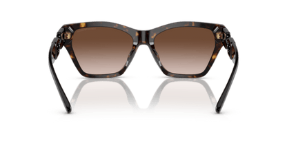 Shiny Havana - 0EA4203U 8056597819626