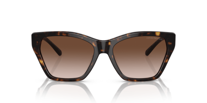 Shiny Havana - 0EA4203U 8056597819626