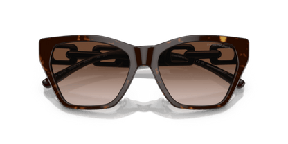 Shiny Havana - 0EA4203U 8056597819626