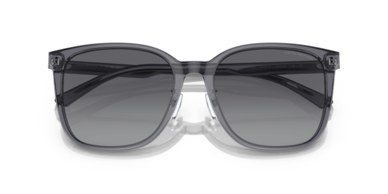 Shiny Transparent Grey - 0EA4206D 8056597835480