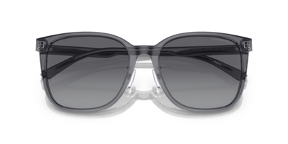 Shiny Transparent Grey - 0EA4206D 8056597835480