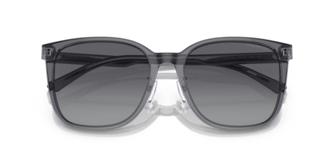 Shiny Transparent Grey - 0EA4206D 8056597835480