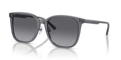 Shiny Transparent Grey - 0EA4206D 8056597835480