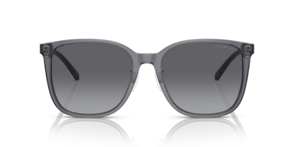 Shiny Transparent Grey - 0EA4206D 8056597835480