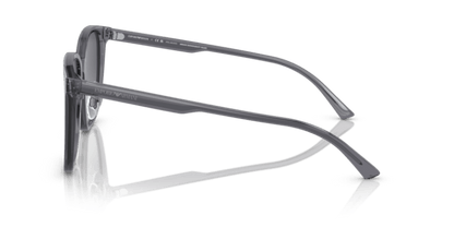 Shiny Transparent Grey - 0EA4206D 8056597835480