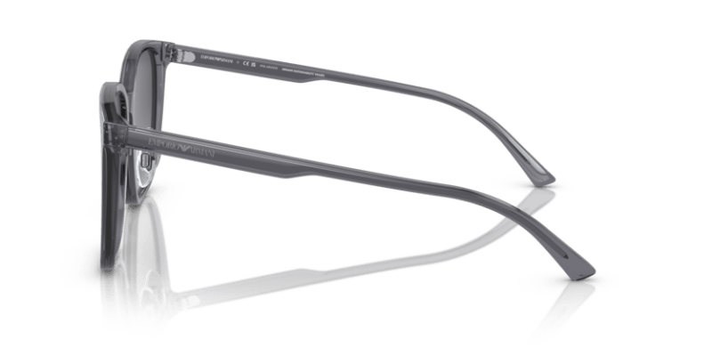 Shiny Transparent Grey - 0EA4206D 8056597835480