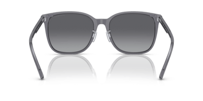 Shiny Transparent Grey - 0EA4206D 8056597835480