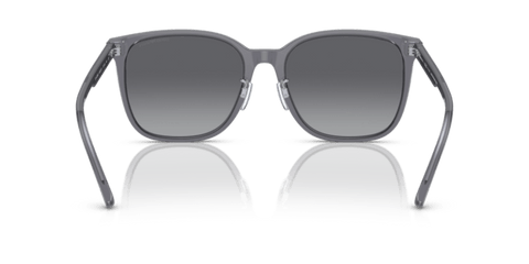Shiny Transparent Grey - 0EA4206D 8056597835480