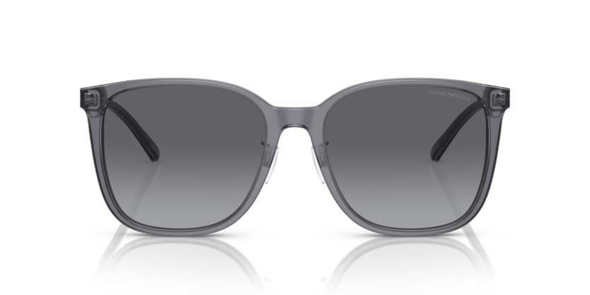 0EA4206D - Emporio Armani - (Shiny Transparent Grey) Polar Grey Gradient Polarized - 57 - 19 - 145 MM - Ardor Eyewear 8056597835480