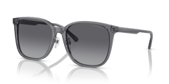 0EA4206D - Emporio Armani - (Shiny Transparent Grey) Polar Grey Gradient Polarized - 57 - 19 - 145 MM - Ardor Eyewear 8056597835480