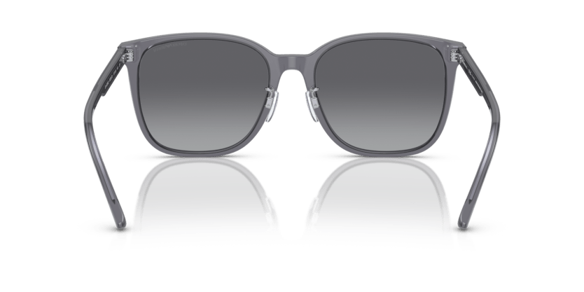 0EA4206D - Emporio Armani - (Shiny Transparent Grey) Polar Grey Gradient Polarized - 57 - 19 - 145 MM - Ardor Eyewear 8056597835480