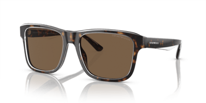 Shiny Havana/Top Crystal - 0EA4208 8056597948173