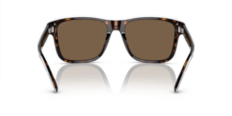 Shiny Havana/Top Crystal - 0EA4208 8056597948173