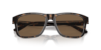 Shiny Havana/Top Crystal - 0EA4208 8056597948173