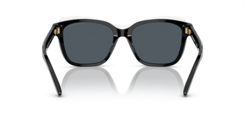 Shiny Black/Top Crystal - 0EA4209 8056597948104