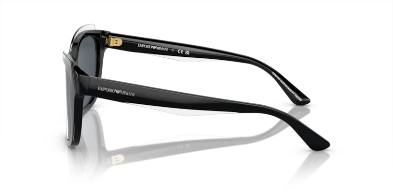 Shiny Black/Top Crystal - 0EA4209 8056597948104