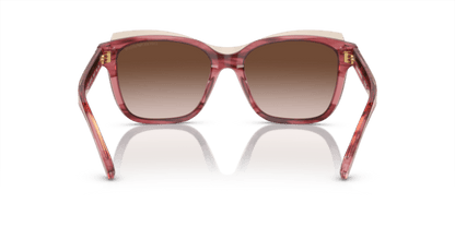 Shiny Bordeaux/Top Light Brown - 0EA4209 8056597948203