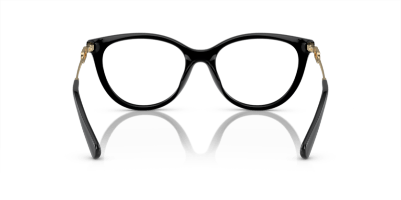 Shiny Black - 0EA4213U 8056597951531
