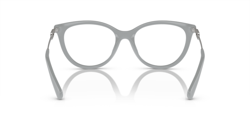 Shiny Grey - 0EA4213U 8056597951579