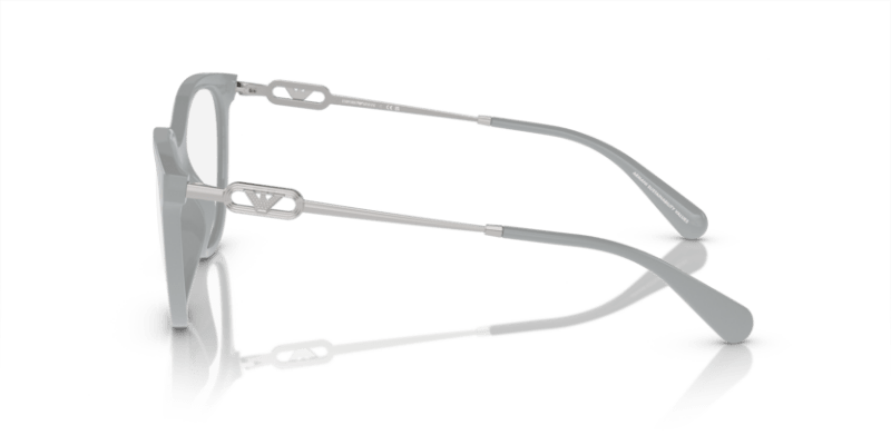 Shiny Grey - 0EA4213U 8056597951579