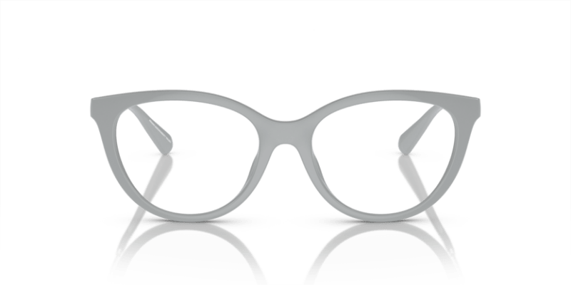 Shiny Grey - 0EA4213U 8056597951579