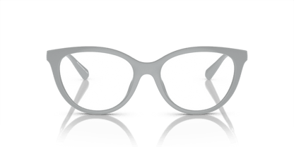 Shiny Grey - 0EA4213U 8056597951579