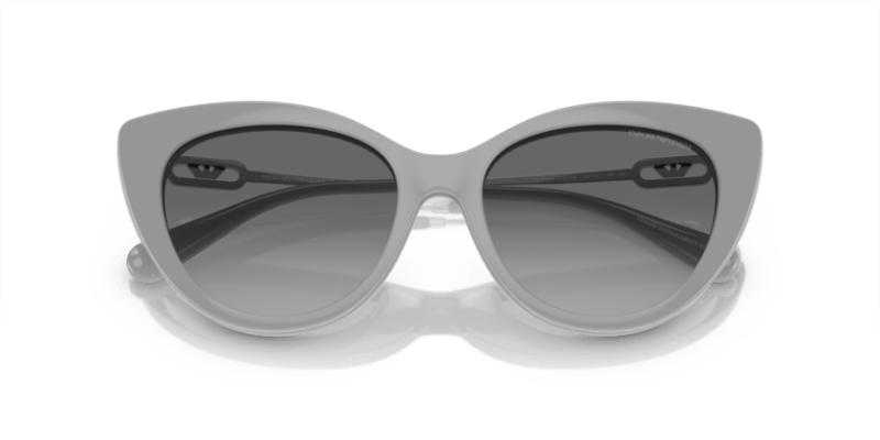 Shiny Grey - 0EA4213U 8056597951579