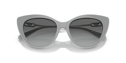 Shiny Grey - 0EA4213U 8056597951579