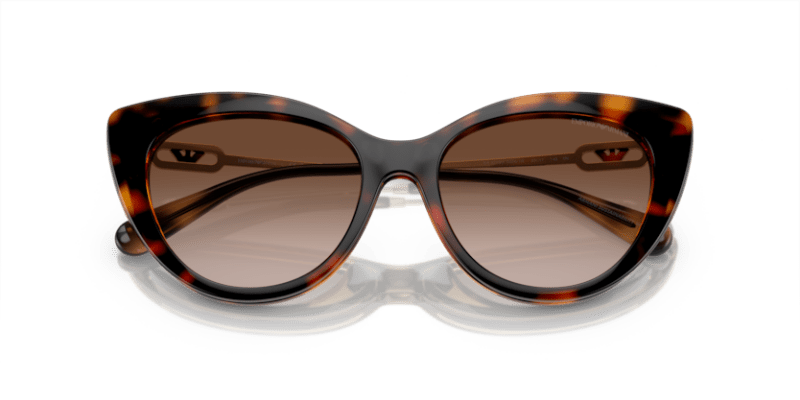 Shiny Havana - 0EA4213U 8056597951548