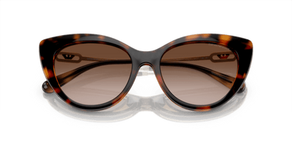 Shiny Havana - 0EA4213U 8056597951548