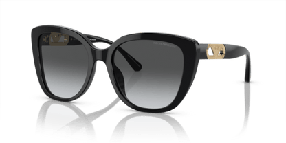 Shiny Black - 0EA4214U 8056597954440