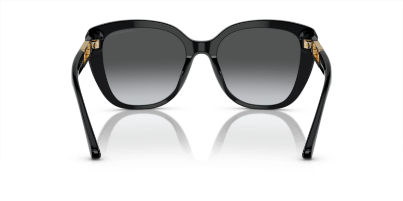 Shiny Black - 0EA4214U 8056597954440