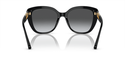 Shiny Black - 0EA4214U 8056597954440