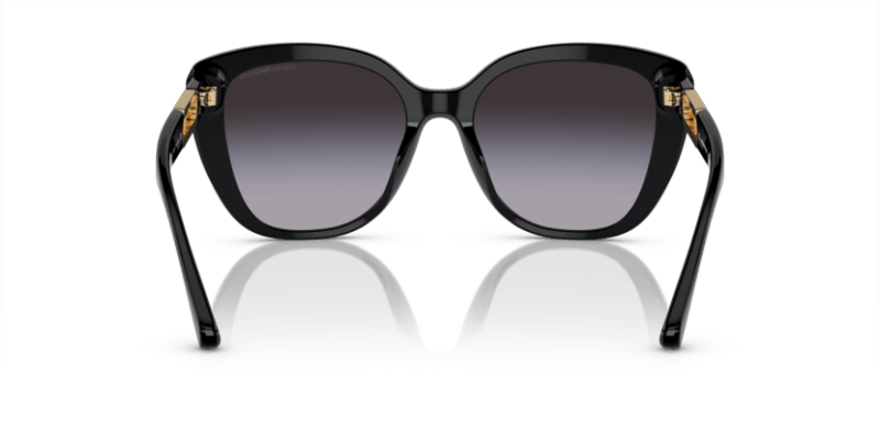 Shiny Black - 0EA4214U 8056597968119