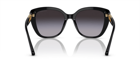 Shiny Black - 0EA4214U 8056597968119