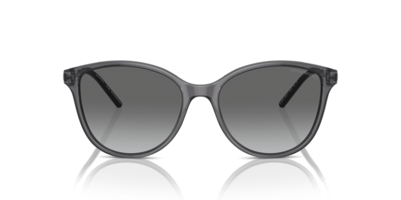 Shiny Transparent Black - 0EA4220 8056262036655