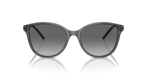 Shiny Transparent Black - 0EA4220 8056262036655