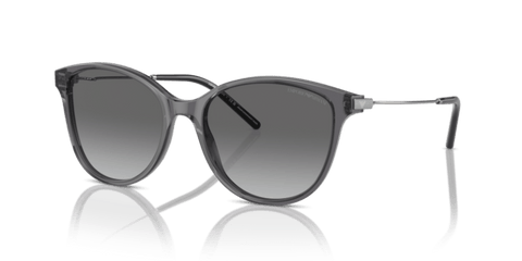Shiny Transparent Black - 0EA4220 8056262036655