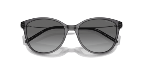 Shiny Transparent Black - 0EA4220 8056262036655