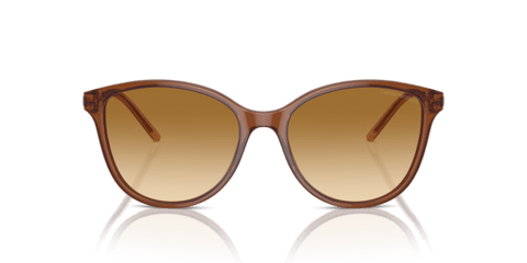 Shiny Transparent Light Brown - 0EA4220 8056262036679